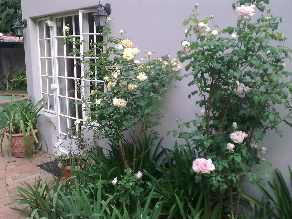Rosebank Lodge Guesthouse By Claires Joanesburgo Exterior foto